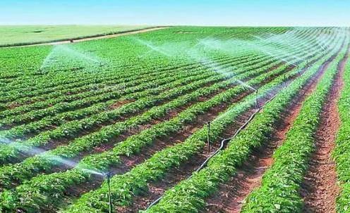 美女靠逼视农田高 效节水灌溉
